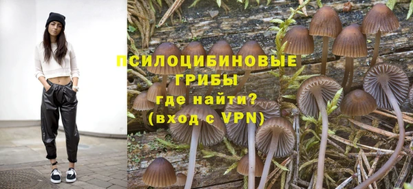 кокс Дмитриев