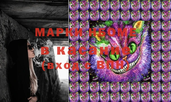 стафф Дмитровск