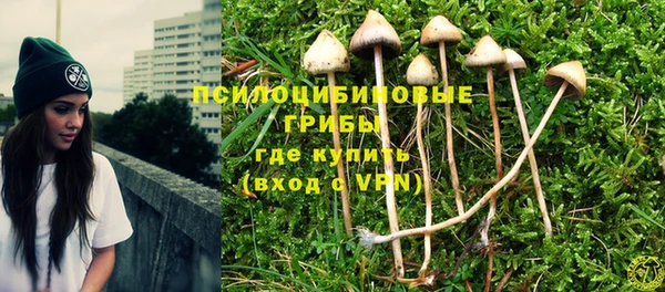 кокс Дмитриев