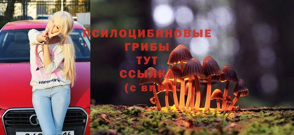 кокс Дмитриев