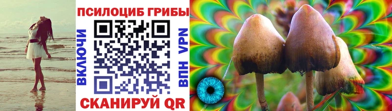 Псилоцибиновые грибы Magic Shrooms  Купить где  Заволжск 